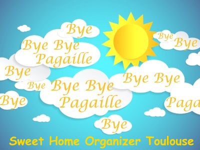 logo officiel de Bye Bye Pagaille - Sweet Home Organizer Toulouse et Coach en Rangement et Désencombrement